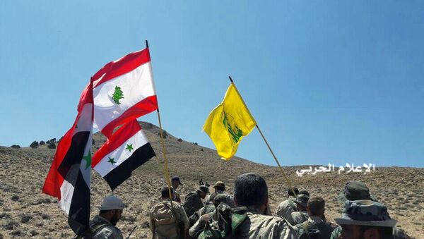 قوات المقاومة حزب الله ترفع أعلام لبنان وسوريا في منطقة القلمون، سوريا 28 أغسطس/ آب 2017 - سبوتنيك عربي