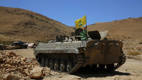 قوات المقاومة حزب الله في وادي الخيل على الحدود اللبنانية السورية، 29 يوليو/ تموز 2017 - سبوتنيك عربي