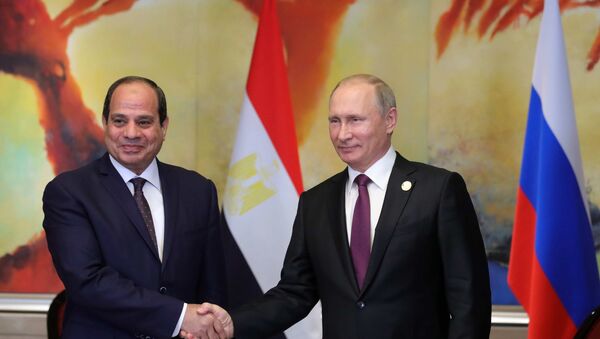 الرئيس الروسي فلاديمير بوتين والمصري عبد الفتاح السيسي - سبوتنيك عربي