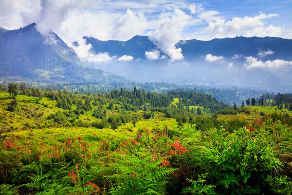 الحديقة الوطنية تينغر سيميرو على جزيرة يافا، إندونيسيا - سبوتنيك عربي