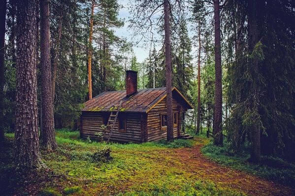 منزل في غابة بفنلندا - سبوتنيك عربي