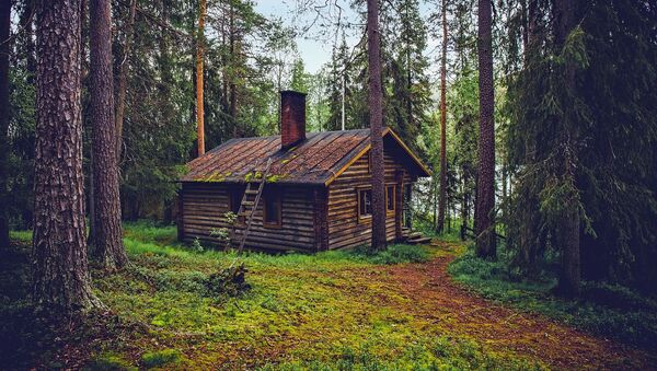 منزل في غابة بفنلندا - سبوتنيك عربي