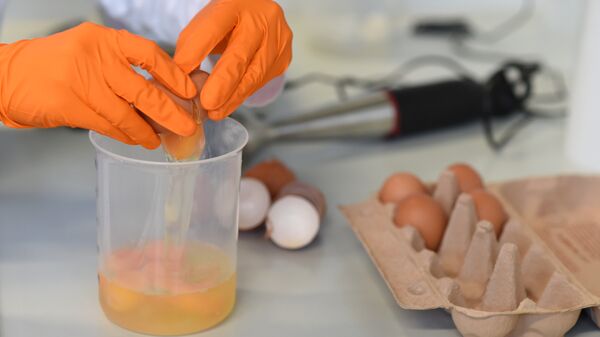 البيض الملوث يغزو 40 بلداً حول العالم  - سبوتنيك عربي
