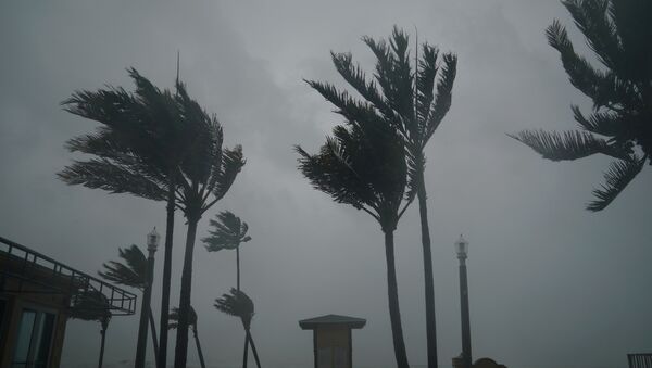 إعصار إرما - سبوتنيك عربي