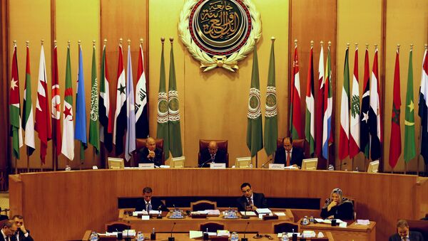 اجتماع وزراء الخارجية العرب - سبوتنيك عربي