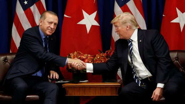 ترامب وأردوغان - سبوتنيك عربي