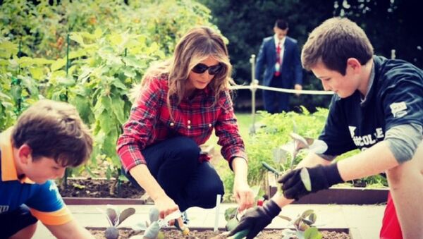 ميلانيا ترامب تشارك في زراعة حديقة البيت الأبيض - سبوتنيك عربي
