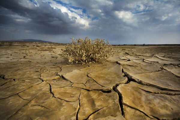 مطر في الصحراء للمصور دانيال وينتر، الذي دخل في نهائيات مسابقة مصور الطقس لعام 2017 - سبوتنيك عربي