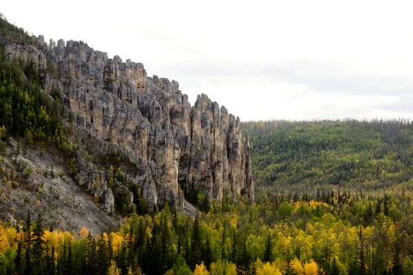 الحديقة الطبيعية الوطنية لينسكيي ستولبي (أعمدة لينا) في ياقوتيا، روسيا - سبوتنيك عربي