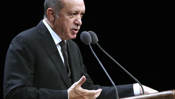 رئيس تركيا رجب طيب أردوغان - سبوتنيك عربي