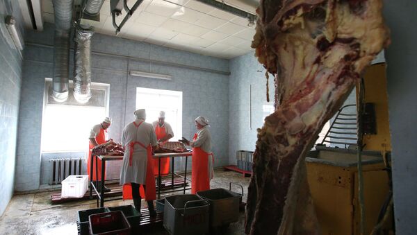 جزارون يقطعون بقرة في روسيا البيضاء - سبوتنيك عربي