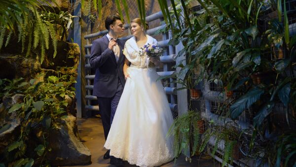 حفل زواج روسي فريد - الزوجان أنطون كرافتشينكو وماريا كرافتشينكو في حديقة موسكو للحيوانات - سبوتنيك عربي