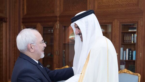 أمير قطر يرحب بظريف - سبوتنيك عربي