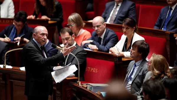 وزير الداخلية الفرنسي - سبوتنيك عربي