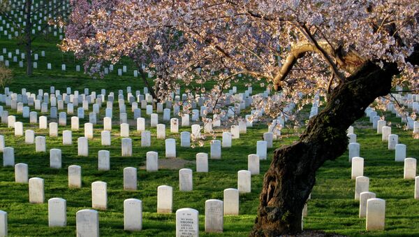 Il cimitero nazionale di Arlington, USA - سبوتنيك عربي