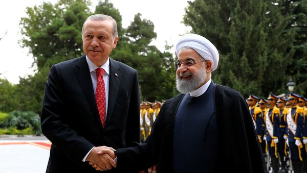 حسن روحاني ورجب طيب أردوغان - سبوتنيك عربي