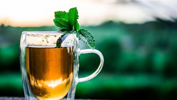 كأس من الشاي مع النعنع - سبوتنيك عربي