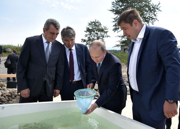 الرئيس فلاديمير بوتين أثناء احتفال إطلاق أسماك صغيرة أومول في بحيرة بايكال، في المحمية الطبيعية - سبوتنيك عربي