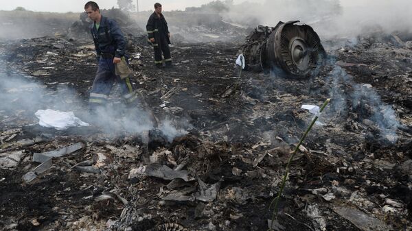 حادث تحطم طائرة بوينغ الماليزية في أوكرانيا - سبوتنيك عربي