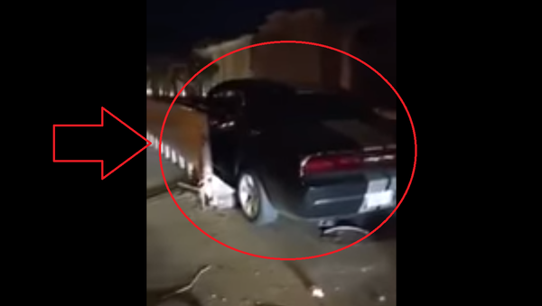 إمرأة تدخل بسيارتها في حاوية أثناء تعلمها القيادة  - سبوتنيك عربي