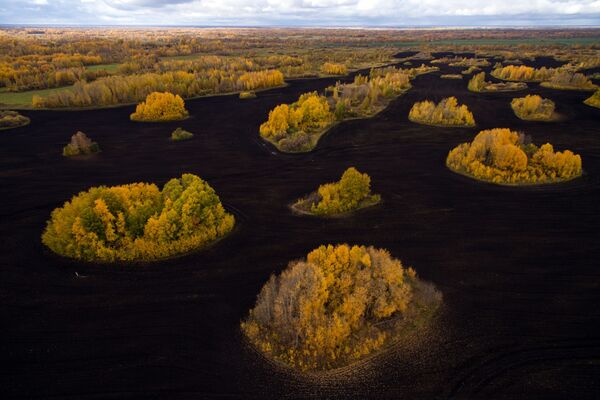 المناظر الطبيعية الجميلة في سيبيريا في الخريف - سبوتنيك عربي