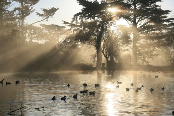 بحيرة ستو في حديقة غولدن غيت، سان فرانسيسكو - سبوتنيك عربي