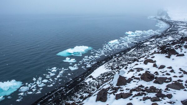  أرخبيل أرض فرانس جوزيف في بحر بارنتس في منطقة القطب الشمالي - ساحل جزيرة أرض جيورجي - سبوتنيك عربي