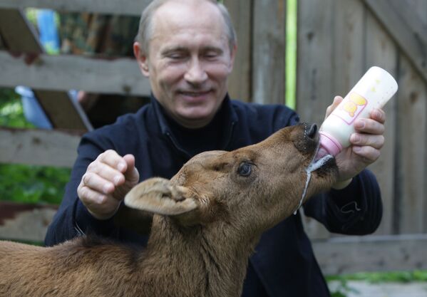 فلاديمير بوتين في المحمية الطبيعية لوسيني أوستروف بشمال شرق موسكو، روسيا - سبوتنيك عربي