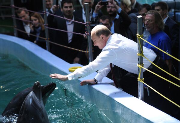 الرئيس فلاديمير بوتين في حديقة مائية في إقليم بريمورسك، روسيا - سبوتنيك عربي