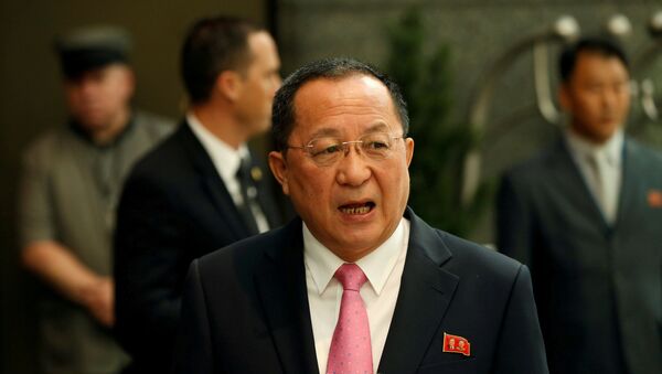 وزير خارجية كوريا الشمالية ري يونغ-هو - سبوتنيك عربي