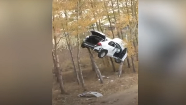 سيارة معلقة على فروع الأشجار - سبوتنيك عربي
