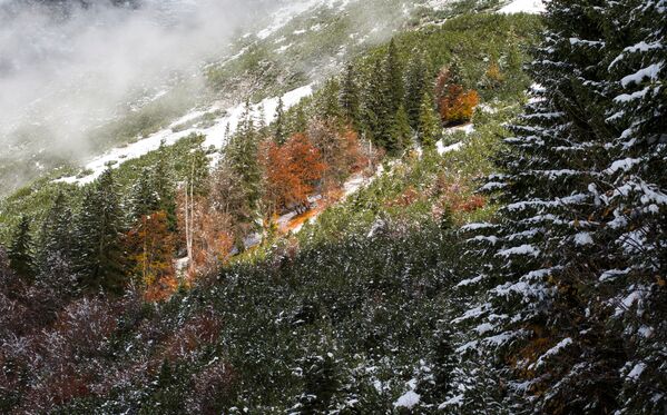الجبل بألوان الخريف في النمسا - سبوتنيك عربي