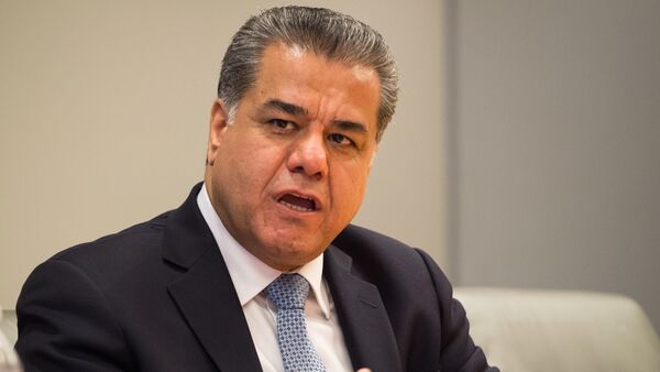 وزير خارجية إقليم كردستان، فلاح مصطفى بكير - سبوتنيك عربي