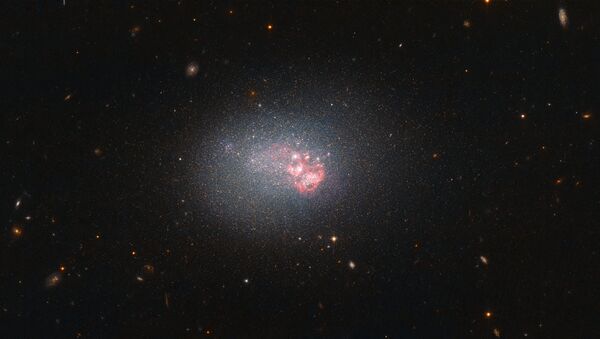  المجرة ESO 553-46 - وفيما يتعلق بالمجرات، يمكن ان يكزون حجم المجرة خادعا. حجم بعض المجرات الكبيرة نائم، مثل مجرة ESO 553-46 في الصورة. فبإمكانها  أن تنتج نجوما عديدة وبشكل متزايد. في الواقع، فهي أكثر المجرات نشاطا من حيث انتاج النجوم، وذلك من بين 1000 مجرة على المدى القريب من مجرتنا درب الدبانة. - سبوتنيك عربي
