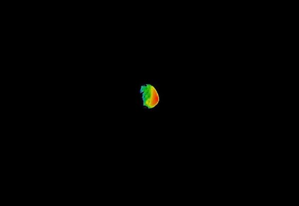 قمر تابع لكوكب المريخ فوبوس بواسطة كاميرا تصوير THEMIS  من وكالة ناسا،  29 سبتمبر/ أيلول 2017 - سبوتنيك عربي