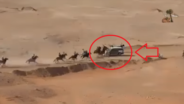 توثيق لحظة تصادم مروعة بين خيول في مضمار السباق وسيارة - سبوتنيك عربي