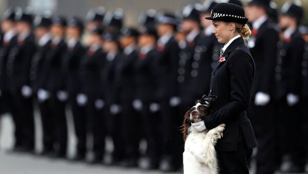 ضابطة شرطة وكلبها خلال عرض عناصر شرطة لندن في لندن، بريطانيا 3 نوفمبر/ تشرين الثاني 2017 - سبوتنيك عربي