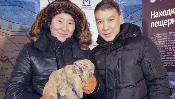 العثور في روسيا على جثة شبل أسد الكهوف في نوفمبر 2015 - سبوتنيك عربي
