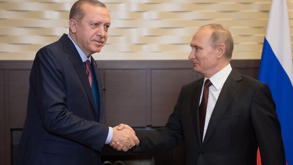 لقاء الرئيس الروسي فلاديمير بوتين مع نظيره التركي في سوتشي، 13 نوفمبر، 2017 - سبوتنيك عربي