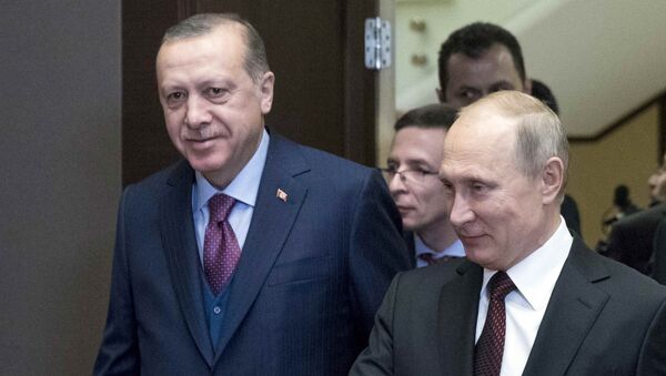 لقاء بوتين وأردوغان - سبوتنيك عربي