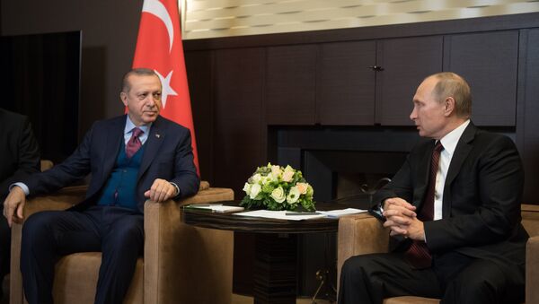 لقاء بوتين وأردوغان - سبوتنيك عربي