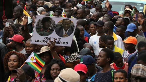 مظاهرات ضد موغابي - سبوتنيك عربي