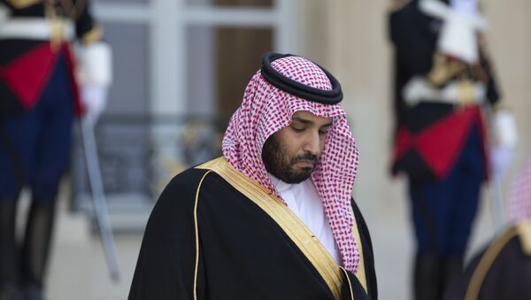 الأمير محمد بن سلمان - سبوتنيك عربي