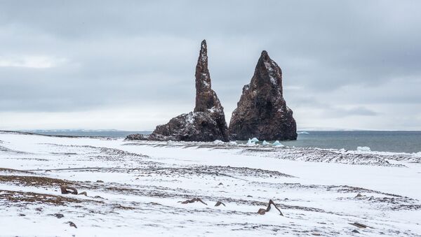 أرخبيل أرض فرانس جوزيف في بحر بارنتس في منطقة القطب الشمالي - سبوتنيك عربي