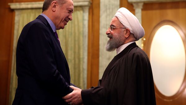 الرئيس الإيراني حسن روحاني والرئيس التركي رجب طيب أردوغان في سوتشي، 22 نوفمبر/ تشرين الثاني 2017 - سبوتنيك عربي