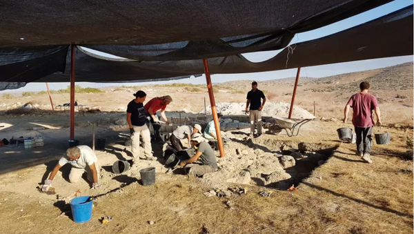 علماء الآثار في منطقة الحفريات - سبوتنيك عربي