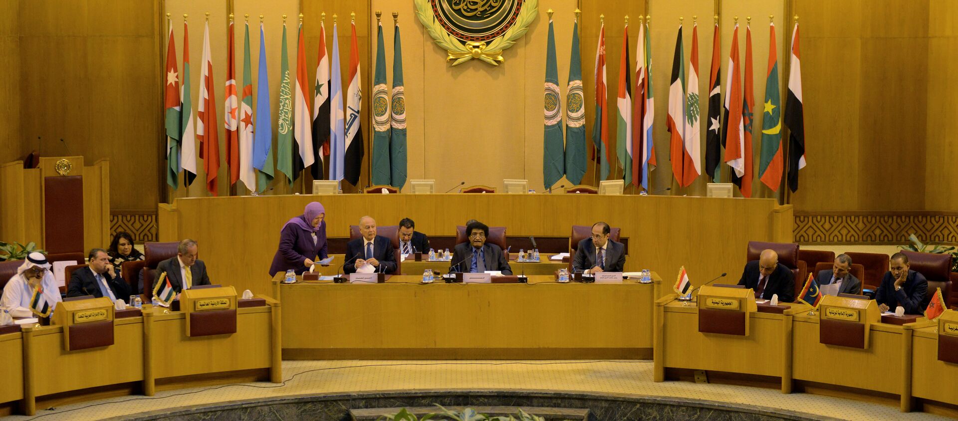 جامعة الدول العربية تجتمع لمناقشة موضوع نقل السفارة الأمريكية إلى القدس، القاهرة، مصر 5 ديسمبر/ كانون الأول 2017 - سبوتنيك عربي, 1920, 09.09.2020