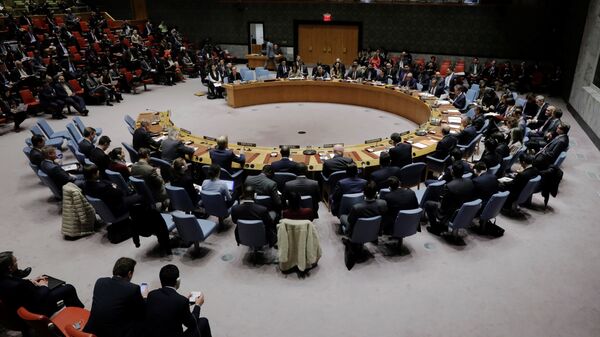 مجلس الأمن الدولي للأمم المتحدة، نيويورك، الولايات المتحدة 29 نوفمبر/ تشرين الثاني 2017 - سبوتنيك عربي