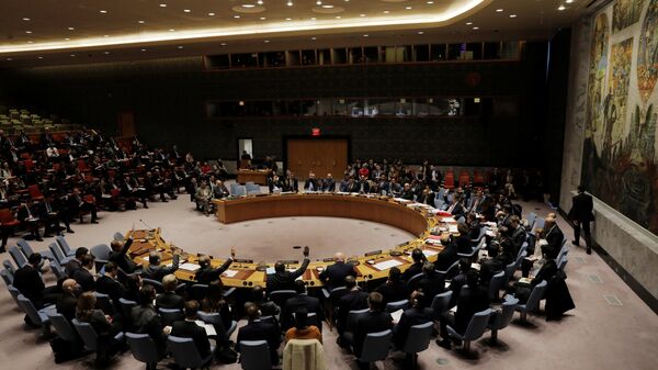 مجلس الأمن الدولي للأمم المتحدة، نيويورك، الولايات المتحدة 16 نوفمبر/ تشرين الثاني 2017 - سبوتنيك عربي