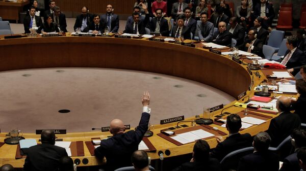  مجلس الأمن الدولي للأمم المتحدة، نيويورك، الولايات المتحدة 16 نوفمبر/ تشرين الثاني 2017 - سبوتنيك عربي